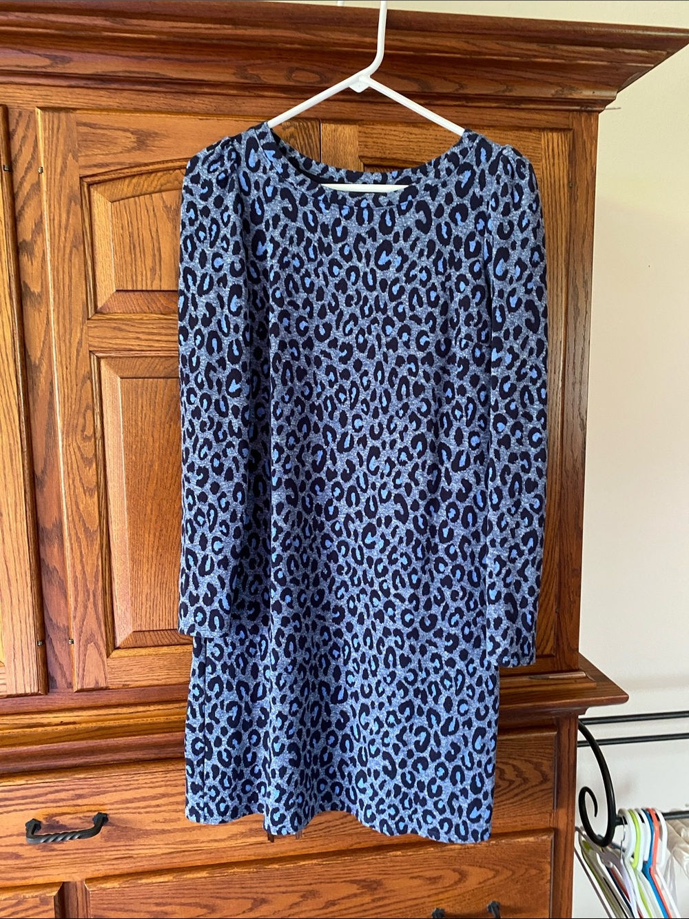 Talbots Blue Leopard-Print Long Sleeve Dress
